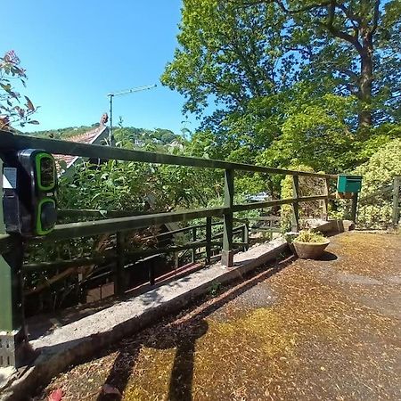 Treetop Cottage At Countisbury Lodge Линмут Экстерьер фото